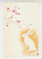 Japan RABBIT POSTCARD 1986 - Conejos