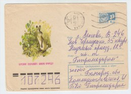 Russia RABBIT USED ENVELOPE - Conejos