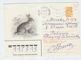 Russia RABBIT USED ENVELOPE 1980 - Lapins