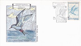 2951A   BIRDS,CHULIDONIA HYBRIDA,SPECIAL COVER 1993,ROMANIA. - Swallows