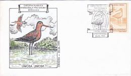 2952A   BIRDS,LIMOSA ,LIMOSA,SPECIAL COVER 1993,ROMANIA. - Picotenazas & Aves Zancudas