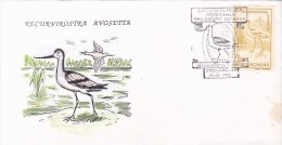 2958A  BIRDS RECURVIROSTRA AVOSETTA,1993 SPECIAL COVER STAMPS OBLITERATION CONCORDANTE ROMANIA. - Marine Web-footed Birds