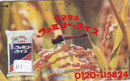 Dragonfly Libellule Libelle Libélula - Insect (11) - Altri & Non Classificati