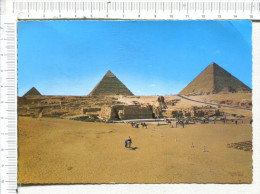 GIZA  -  GUIZEH -  Pyramids And  Sphinx   -  Les Pyramides - Gizeh