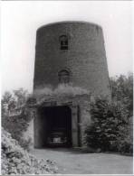 ASSENEDE (O.Vl.) - Molen/moulin - Romp Van De Hollandse Molen In 1983 Voor De Aanpassingen/ Renovatie - Assenede