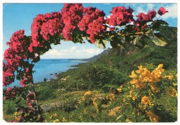 SEYCHELLES - EAST COAST OF MAHE' / THEMATIC STAMPS-BIRD - Seychellen