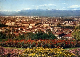 Torino - Panorama - 52 - Formato Grande Viaggiata - Panoramic Views