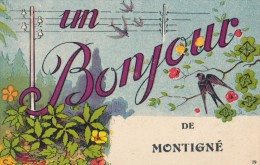 CPA 53 Un Bonjour De Montigné MONTIGNE - Sonstige & Ohne Zuordnung