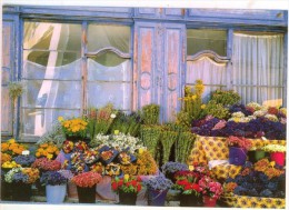 Delcampe - Magasin Le Fleuriste  Arrière Pays Méditerranéen  TBE - Geschäfte