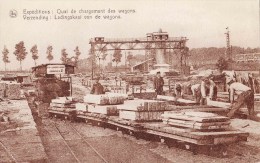 S.A. Carrières Du Hainaut à SOIGNIES - Te ZINIK - Expéditions: Quai De Chargement Des Wagons - Soignies