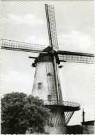 DEERLIJK (W.Vl.) - Molen/moulin - Molen Declercq Of "Ter Geest En Te Zande" Omstreeks 1970 Tijdens Restauratie V.d. Kap - Deerlijk