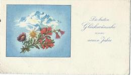 Petite Carte De Voeux/ Circulée/Edelweiss Et Montagne/ Vers 1950   CVE56 - New Year