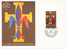 8868- SCOUTS, SCUTISME, EMBLEM, MAXIMUM CARD, OBLIT FDC, 1981, LIECHTENSTEIN - Covers & Documents