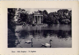 Roma - Villa Borghese - Il Laghetto - 1956 - Formato Grande Viaggiata Mancante Di Affrancatura - Parcs & Jardins