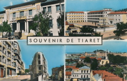 AFRIQUE - ALGERIE - Souvenir De TIARET - Vues Multiples (la Poste, Le Collège Moderne...) - Tiaret