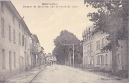 MONTLUEL ENTREE PAR LA ROUTE DE LYON - Montluel