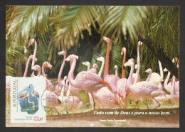 Portugal Oiseau Flammant Rose Carte Maximum 1982 Flamingo Bird Maxicard - Flamingo