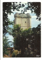 Cp, 32, Bassoues, Vestiges Du Château Fort Des Archevêques D'Auch, Le Donjon Carré - Other & Unclassified