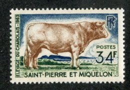 7503x  St Pierre 1964  Scott #373** -  Offers Welcome - Nuovi