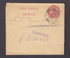 ARGENTINE. EP. ENTIER POSTAL ARGENTINA. BANDE JOURNAL. - Postal Stationery