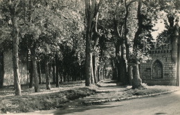 ILLIERS - Promenades De La Citadelle (1953) - Illiers-Combray