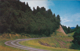 U S Highway 441 In The Great Smoky Mountains National Park - USA National Parks