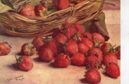 FRUTTA  , Fragole   , Illustratore   Carlo  Chiostri  , Firenze   * - Chiostri, Carlo