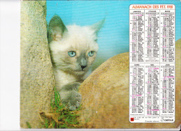 Almanach Des PTT 1981, Chat / Petite Fille Et 2 Chiots Saint Bernard, OBERTHUR - Big : 1981-90