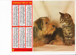 Almanach Des PTT 1981, Chien Et Chat / Chatons Et Orchidée, OBERTHUR - Big : 1981-90