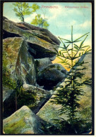 Pirmasens  -  Gebrochene Felsen  -  Ansichtskarte Ca.1913    (3823) - Pirmasens