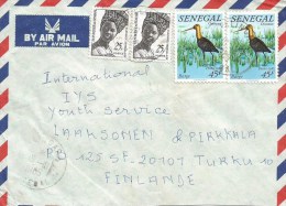 Senegal 1985 Velinga Bar-tailed Godwit Limosa Lapponica Bird Cover - Albatros & Stormvogels