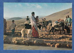 CPSM - SHIRAZ / CHIRAZ - Local Dress Of Faar's Tribes - RARE - Chien - Ane - Iran