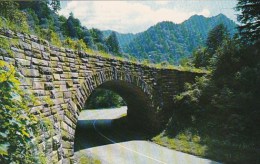 The Loop Overpass And The Chimney Tops Great Smoky Mountain National Park Tennessee - Smokey Mountains