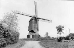 TESSENDERLO (Limburg) - Molen/moulin/mill - De Oude Molen Voor De Restauratie - Tessenderlo