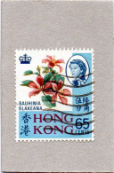 Hong Kong - Fiori - Sonstige & Ohne Zuordnung