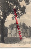 79 - CHATEAU DE CIRIERE PAR CERIZAY - Cerizay