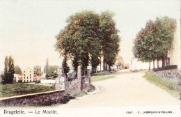 BRUGELETTE - Le Moulin - Superbe Carte Colorée - Brugelette
