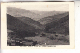 5787 OLSBERG, Blick Ins Ruhrtal, 1926 - Meschede