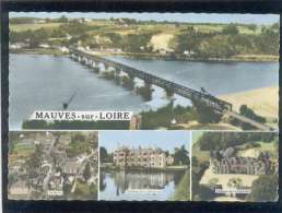 44 Mauves Sur Loire Multivue édit. Artaud Pont Chateau Le Bourg - Mauves-sur-Loire