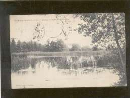 91 Ballancourt étangs De L'ile Du Saussaye édit. Ajax N° 705 - Ballancourt Sur Essonne