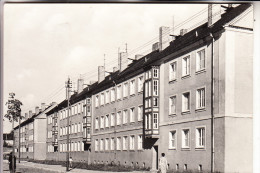 0-3400 ZERBST, Brüderstrasse, 1966 - Zerbst
