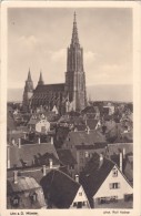 ULM: ULM KATHEDRAL(Ulmer Münster),POSTCARD,GERMANY - Munster