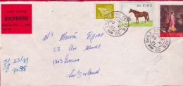 02061 Carta Y Recorte Irlanda A Geneve 1981 - Storia Postale