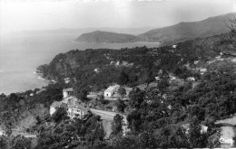 Le RAYOL ( Var ) Vue Sur Le Cap Nègre . Avec Au Recto Cachet DAQUIN Trés Bien . - Rayol-Canadel-sur-Mer