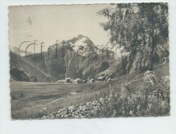 Vénosc (38) : Vue Générale De L'Alpe De Venosc En 1961GF. - Vénosc