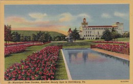 Municipal Rose Garden Another Beauty Spot In Harrisburg Pennsylvania - Harrisburg