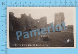 CPA Photo ( The Castle Green Showing Dungeon  ) Post Card Carte Postale Recto/verso - Herefordshire