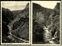 2 X Bodetal Bei Thale / Harz   -  Bodetor + Blick In Den Bodekessel  -  Ansichtskarten Ca.1928  (3894) - Thale