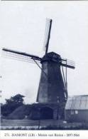 HAMONT / Hamont-Achel (Limburg) - Molen/moulin - Blauwe Prentkaart Ons Molenheem Van De Verdwenen Molen Van Bielen - Hamont-Achel