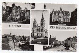 Cpsm 85 - Souvenir Des Essarts - (9x14 Cm) - Les Essarts